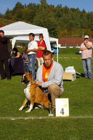 www.boxer-show.eu